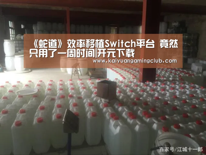 《蛇道》效率移植Switch平台 竟然只用了一周时间|开元下载(图2) 开元下载