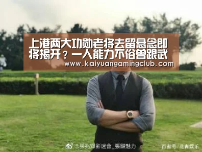 开元百家乐